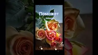 Утренний привет 💯