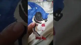 Соник.exe и Тейлз
