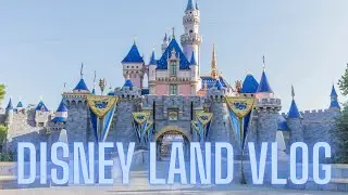 My Disney Land Experience