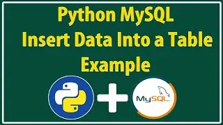 Python Database Connection | How to connect python with MySQL database | Python MySQL Insertion