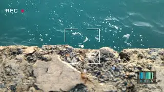 Odessa sea in winter 2023. music clip