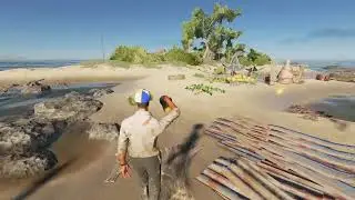 Stranded Deep