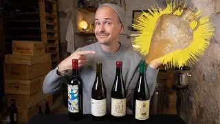 The CRADLE of WINE - GEORGIA QVEVRI WINE Tasting