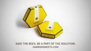 Harbor Sweets Chocolate - Gather Origin Story