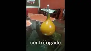 ANGULOS STOP MOTIONS