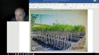 Железов Валерий   Вебинар 113 ч 10   Знал бы прикуп   жил бы в Сочи