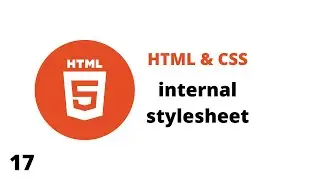 CSS Internal Style Sheet | Internal css | Internal css styling
