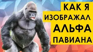 How I Portrayed an Alpha Baboon | MD RSP Men's Movement