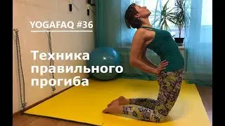 YogaFAQ #36: Техника безопасного прогиба