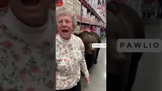 Granny and bear in the store #bodycam #dashcam #funny #ai #cop #sora2 #grandma #bear