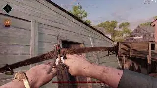 Hunt: Showdown - Indirect Fire