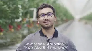 Métier : Chef de culture