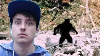 Something in the woods terrorizes child