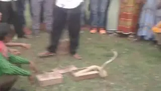 শেষ বৈশাখের মেলা মহাস্থানগড় বগুড়া! dekhun vondhoder nojor bondi