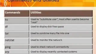 Learn about the System Administrator in AIX Fundamentals from GogoTraining