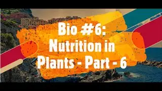 Heterotrophic Plants: Day - 1 | Nutrition in Plants | Part - 6 | Biology