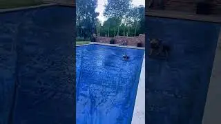 Bro is lagging😂🤣 