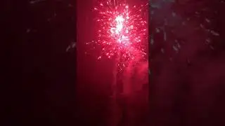 Neujahr 2020 Tobi 7/8