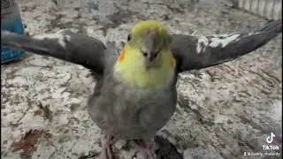 Express yourself!