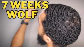 7 Weeks Wolfing: Restarting my 360 Waves Pattern!