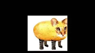 Мышка сосиска собачка жевачка кошка картошка 🥔