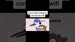 Arch Linux User & a Wifi 