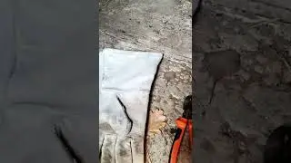Снимаю колючую проволку! ОТКРЫТИЕ НОВОГО БОЛЬШОГО ПРОЕКТА ПО РЕСТАВРАЦИИ ЛЕВАДЫ!