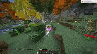 NOVA CLIENT RELEASE 1 16 5 КАК МОЖНО С НИМ НЕ ПОИГРАТЬ ?