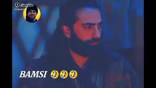 Bamsi ki party 😂