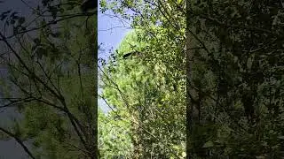 Хорошо работать на природе ))