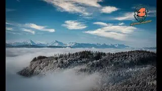 Snowy Forest [lofi hiphop & chill mix]