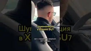 Шумоизоляция xiaomi su7 