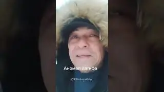10 марта 2023 г.