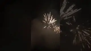 Neujahr 2020 Tobi 8/8