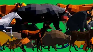 Animals Stampede Running and Walking Green Screen Blue Screen Best HD Animals Video