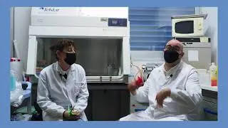 Investigadores del I3A lanzan el reto 1.000 grullas de papel contra el cáncer