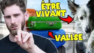 ✈️ Chien en soute: Air France RÉVEILLE-TOI!