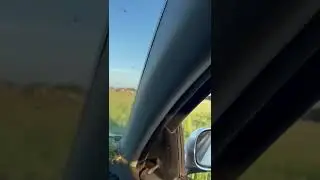 На просторах Башкирии...