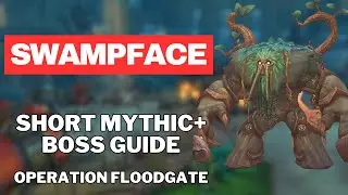 Swampface Guide: Operation Floodgate Third Boss Mythic+