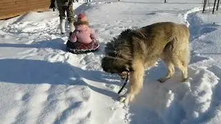 Прекрасный день для прогулки