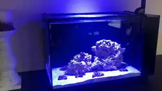 Fully Modded Fluval EVO 13.5 (4K 60FPS)