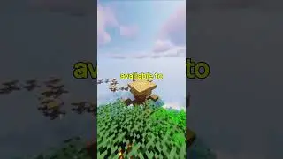 Average Discord Server