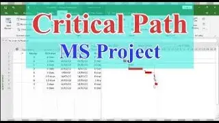 Filter and Show Critical Path in MS Project