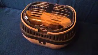Rat escaping his carrier