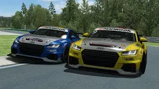 Best of OVERTAKES - Hungaroring Audi TT - RaceRoom