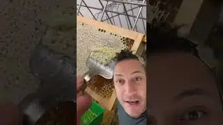 Best Beekeeper Ever! 😂 