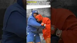 Порхай как бабочка, жаль как 🐝 Боевое самбо #shorts