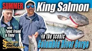 Summer King Salmon in the scenic Columbia River Gorge