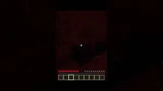 Surviving 24 HOURS in the NETHER Challenge 