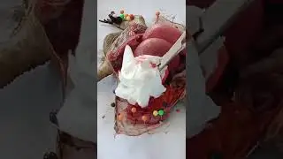 frog dissection 🐸